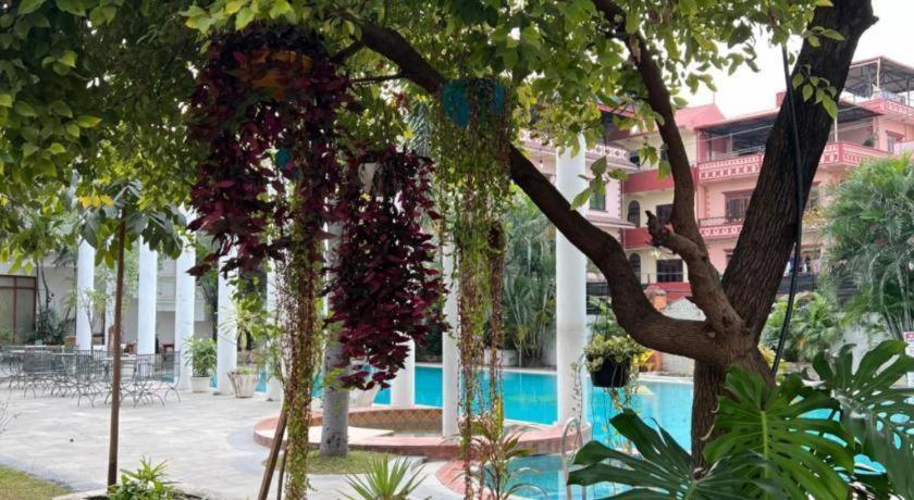Hotel Club Denovo Butwal Exterior foto